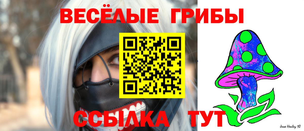Псилоцибиновые грибы Cubensis  Вход с VPN  Усолье-Сибирское  Галлюциногенные грибы MAGIC MUSHROOMS 